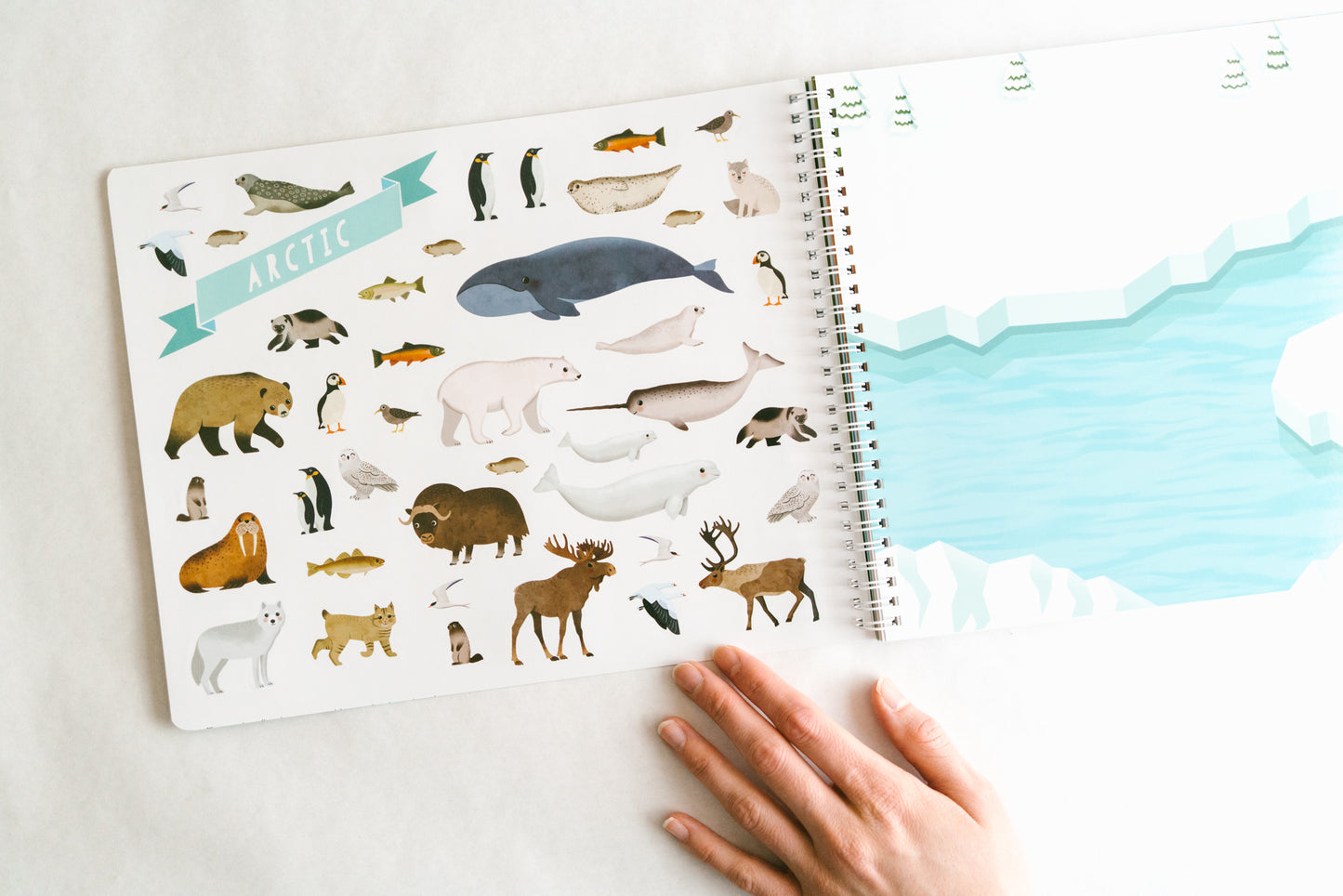 Animal Habitats Sticker Book