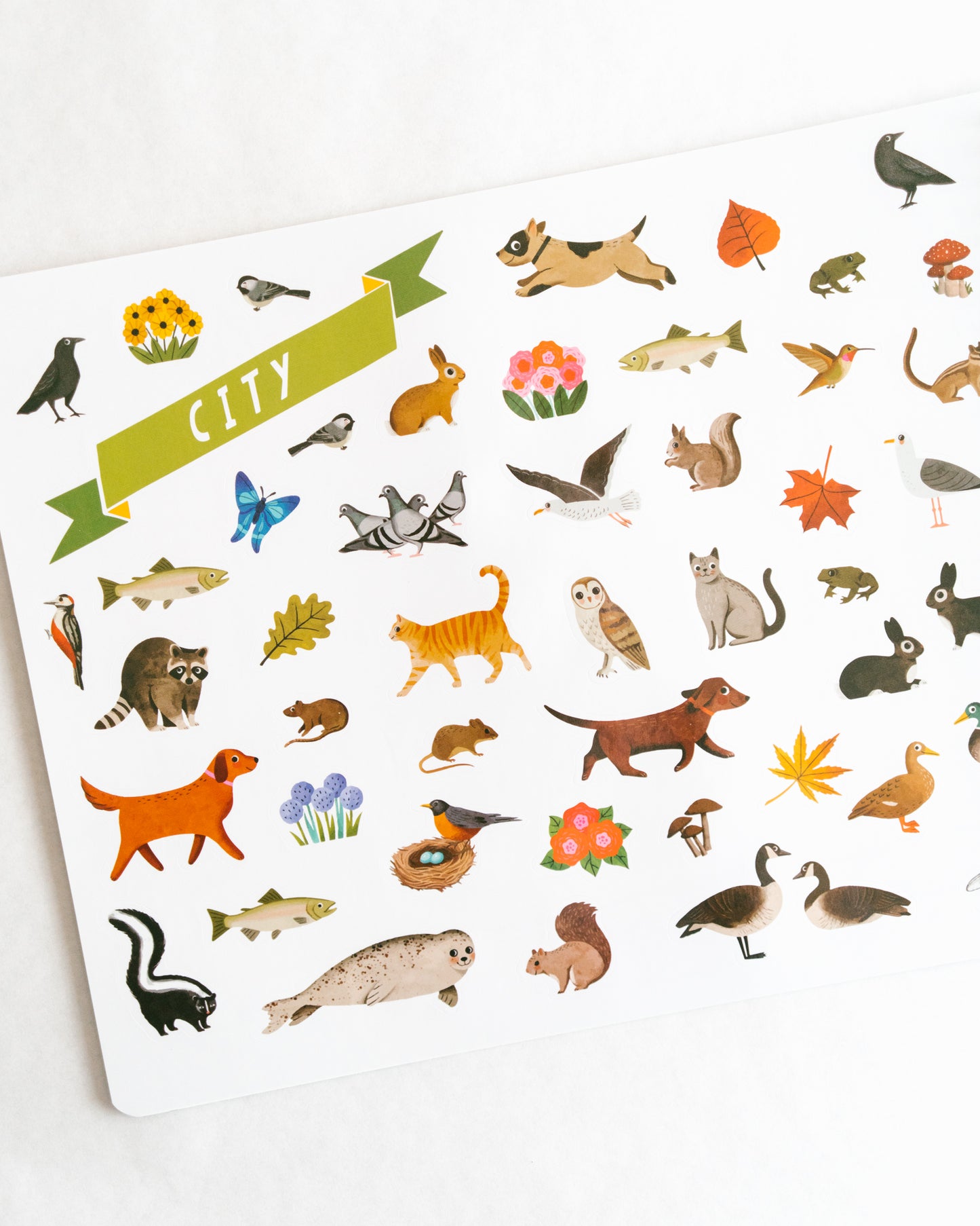 Animal Habitats Sticker Book