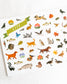 Animal Habitats Sticker Book