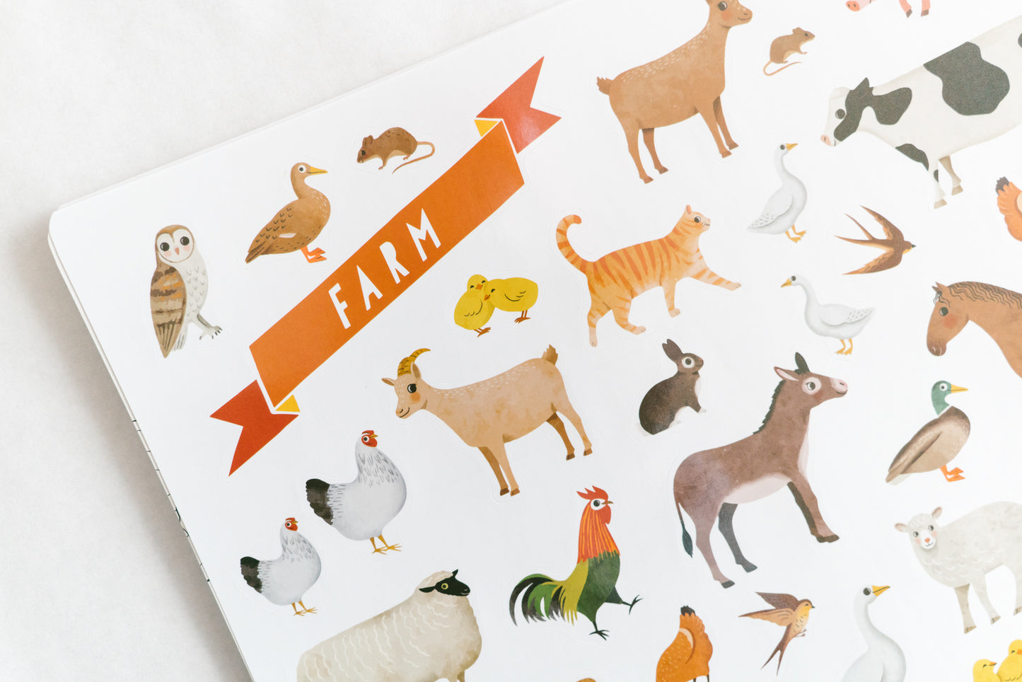 Animal Habitats Sticker Book