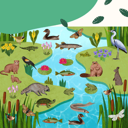 Animal Habitats Sticker Book: Over 500 Stickers and 12 Unique Scenes ...